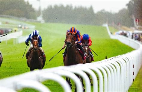 cricfree horse racing